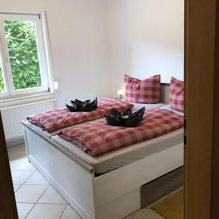 Dünenfang Prerow